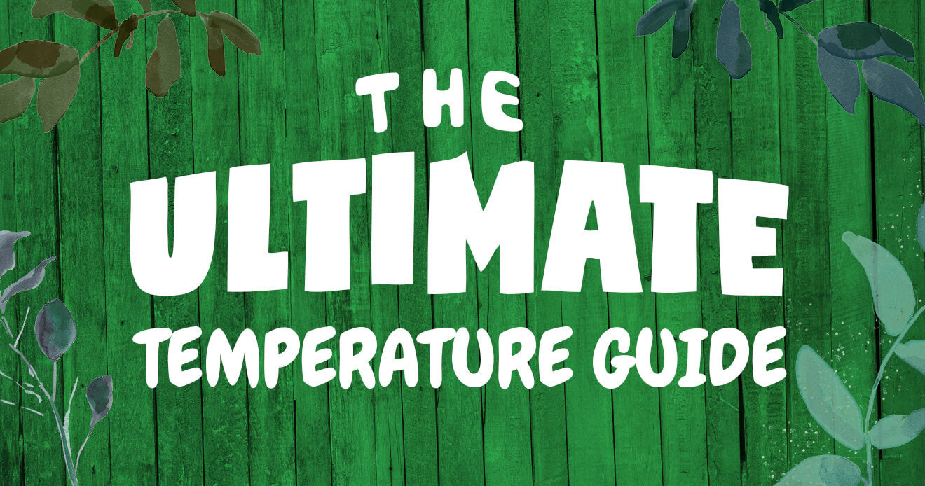 Is 58 Degrees Cold The Ultimate Temperature Guide - nzjbrhv