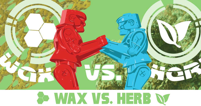 Cera vs hierba seca 