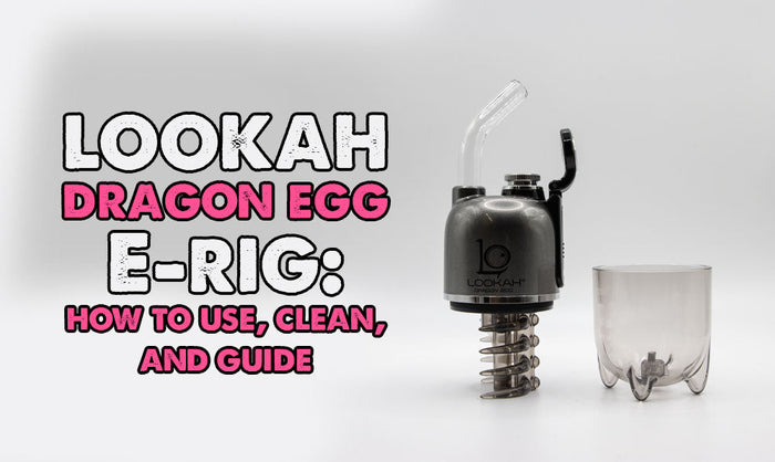Lookah Dragon Egg E-Rig: Cómo usar, limpiar y guiar