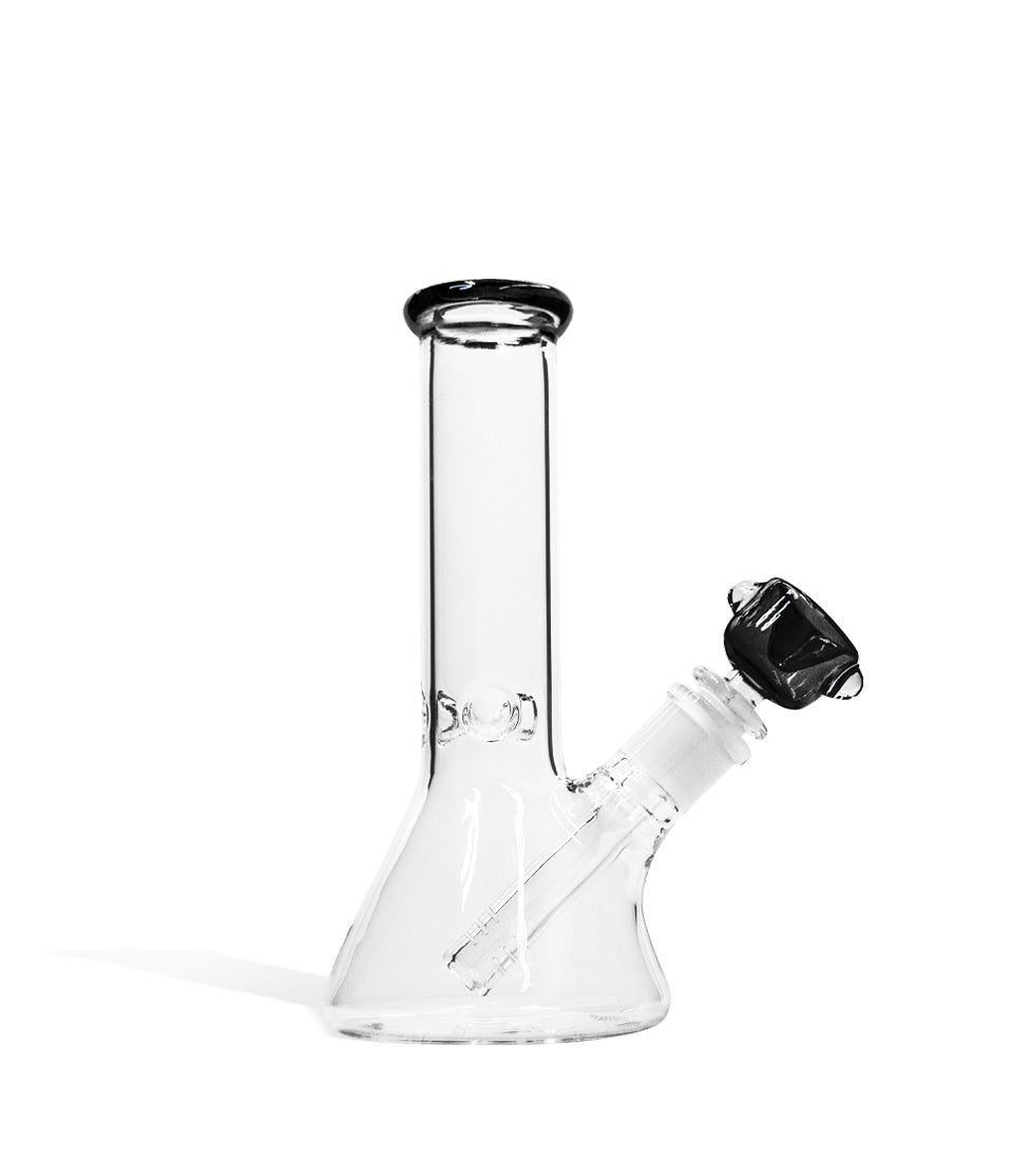 Glass & Silicone